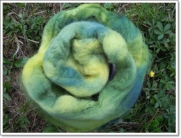 merino gerahmt.JPG