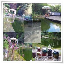 collage schoen.jpg