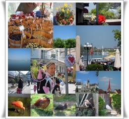collage.jpg