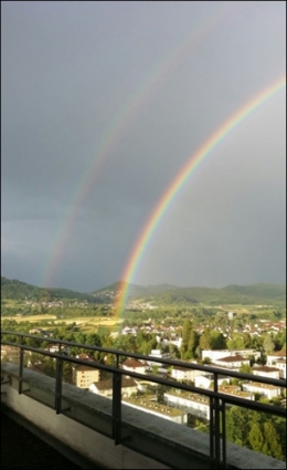 Bogen Bild.jpg