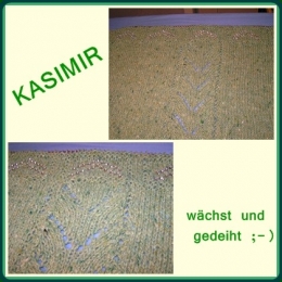 collage rücken.jpg