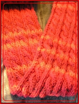 roter zopfscha detaill.jpg