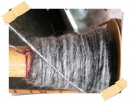bobtail die erste.jpg
