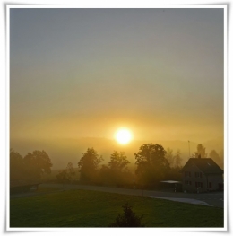 Sonne im Nebel.jpg