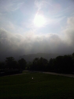 mobile_picture
