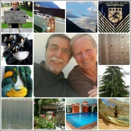 collage.jpg