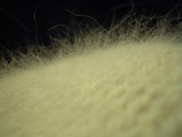 flauschig.JPG