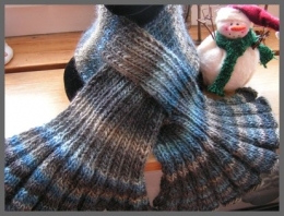FAN Neckwarmer.jpg