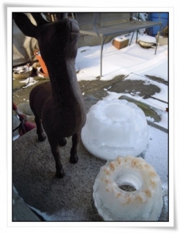 eiskuchen.JPG