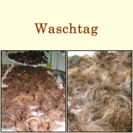 fasern.jpg