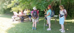 courte pause à l'ombre bienfaitrice