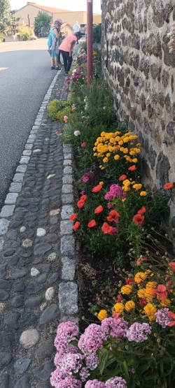 bord de route fleuri