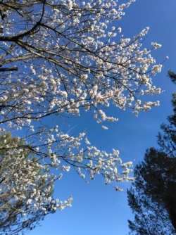 Eygalières : mardi 24 février 2026