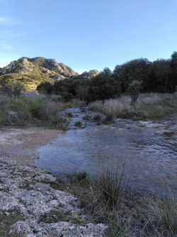 ru devenu "torrent" !