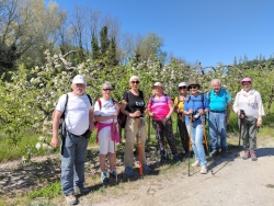 Mardi 7 avril - Saujan