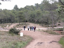 Les Alpilles : samedi 6 décembre 2025