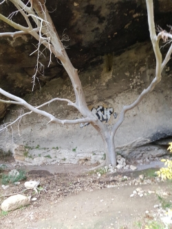 grotte à proximité de notre chemin