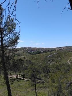 Encore une vue de l'abbaye