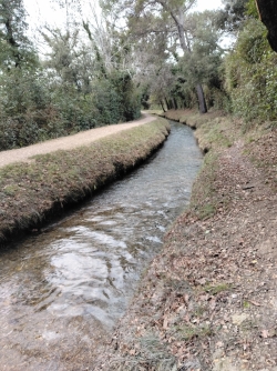 canal des Alpines, que nous longeons un peu