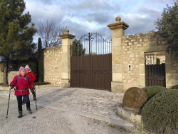 sur le plateau de la Crau ....