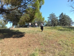 Mardi 14 octobre : Ile du Comté