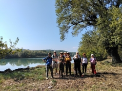 Ile du Comte entre Beaucaire et Tarascon