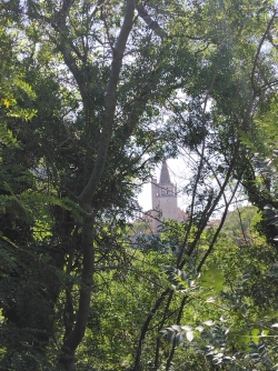 le clocher de l'église Ste Marthe