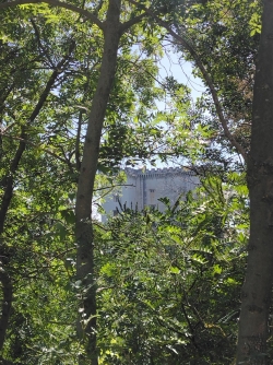 côté Tarascon, le château à peine visible