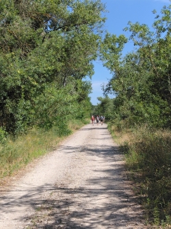 chemin partiellement ombragé ....