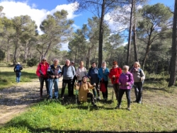 Mardi 17 février : Alpilles -Le Planet