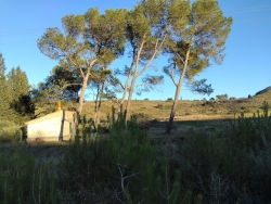 une rescapée de l'incendie ....