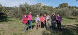 Mardi 19 novembre : Les Baux