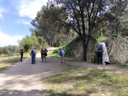 les cascades se succèdent ....