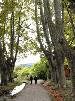 Mardi 21 octobre : Le Paradou-Maussane