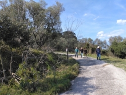 mardi 24 mars : StRoman