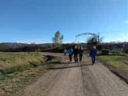 campagne maillanaise