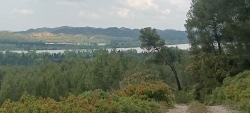 Point de vue sur le Rhône