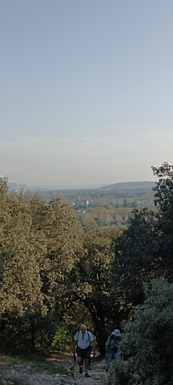 Au nord, Le Mont Ventoux