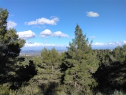 Mardi 3 février : Les Baux