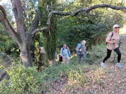 la rando se poursuit sur le GR ....