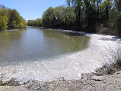Avec le chant des grenouilles !!