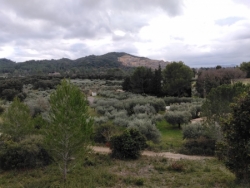 Mardi 9 décembre : Boulbon