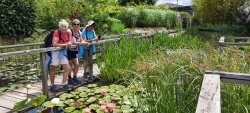 Jardin d'eau