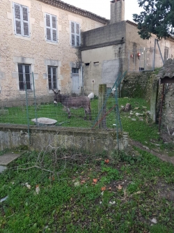 passage au restaurant "la Treille"