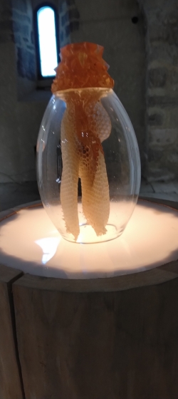 essaim dans une bulle de verre