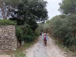 entre l'Isle sur Sorgue et Saumane