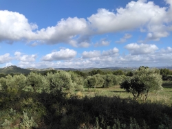 Avec pour toile de fonds :