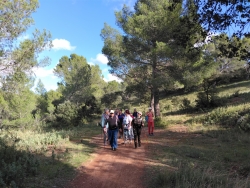 Le sentier passe par les anciennes carrières
