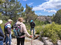 vestiges d'un castrum face aux Baux
