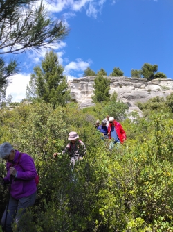 la descente se poursuit ....